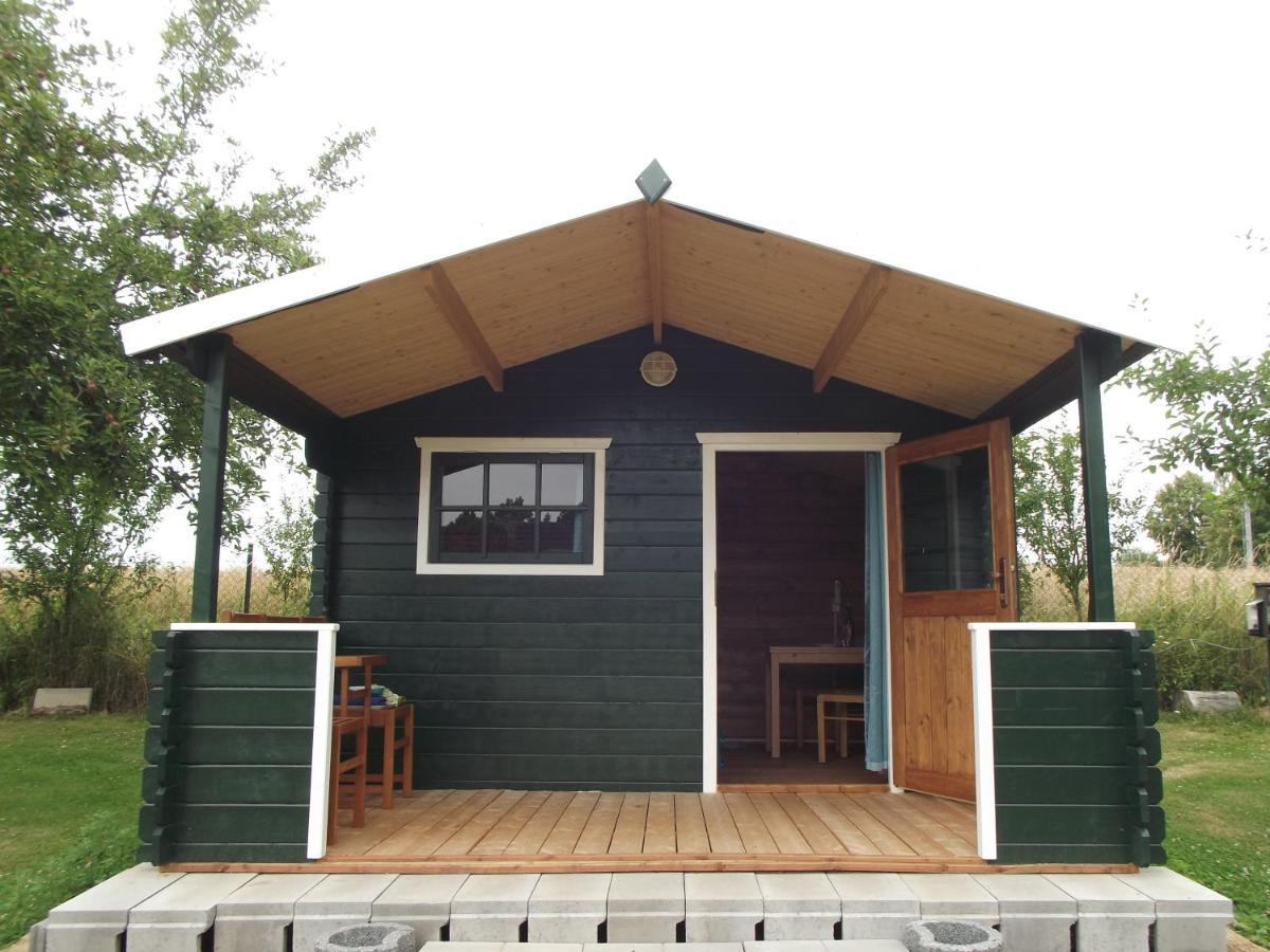 Camping & Guest House Pliskovice Mirovice Exterior photo