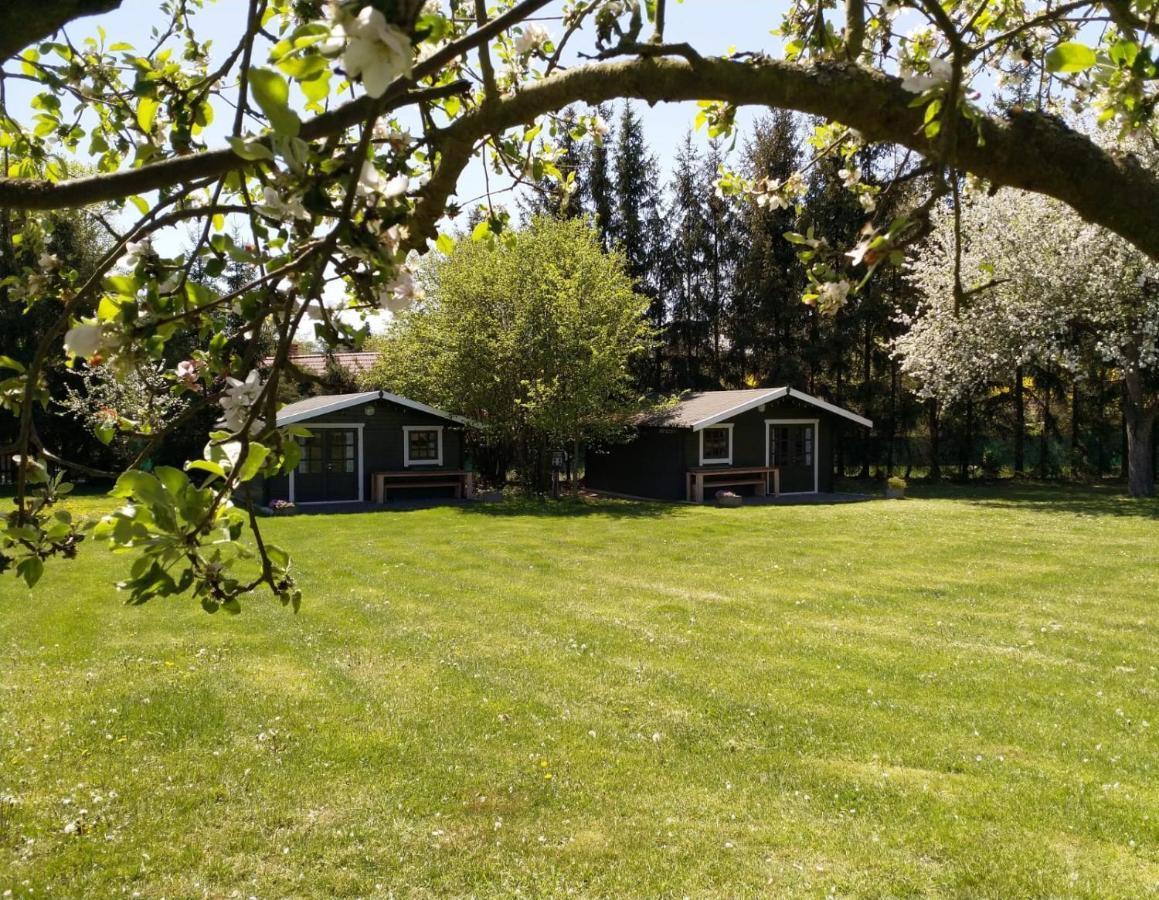 Camping & Guest House Pliskovice Mirovice Exterior photo